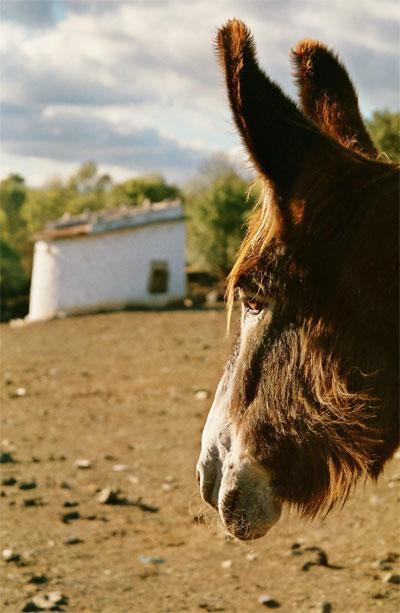Casas Campo Cimo Da Quinta Hotell Miranda do Douro Eksteriør bilde